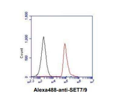 Flow Cytometry: SETD7/9 Antibody (s4E5) - BSA Free [NBP1-04298]