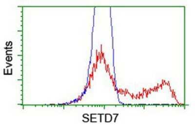 Flow Cytometry: SETD7 Antibody (OTI2D10) [NBP2-01066]