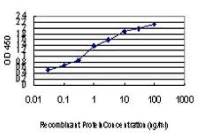 ELISA: SFPQ Antibody (6D7) [H00006421-M02]