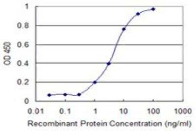 ELISA: SFRS12 Antibody (1D11) [H00140890-M01]