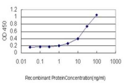 ELISA: SGK1 Antibody (4D7-G3) [H00006446-M01]