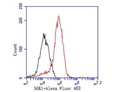 Flow Cytometry: SGK1 Antibody (SC05-71) [NBP2-67561]
