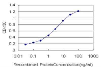 ELISA: SGK2 Antibody (4G4) [H00010110-M05]