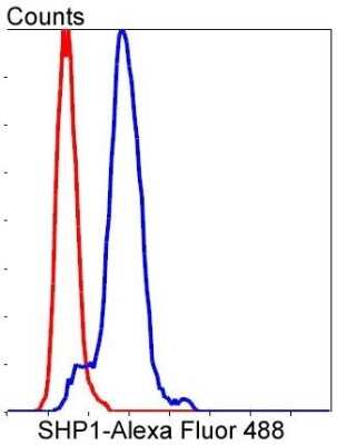 Flow Cytometry: SHP-1 Antibody (SR41-02) [NBP2-67321]