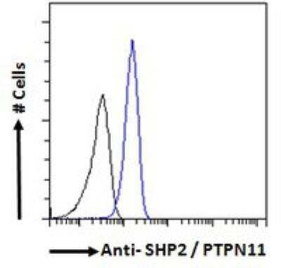 Flow Cytometry: SHP-2/PTPN11 Antibody [NB100-806]
