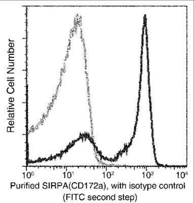 Flow Cytometry: SIRP alpha/CD172a Antibody (001) [NBP2-90751]