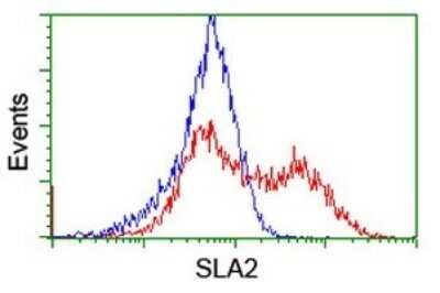 Flow Cytometry: SLA2 Antibody (OTI3A7) - Azide and BSA Free [NBP2-74210]