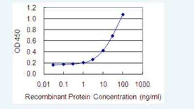 ELISA: SLC15A3 Antibody (5B4) [H00051296-M04-100ug]