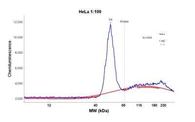 Simple Western: SLC16A3 Antibody [NBP1-81251]