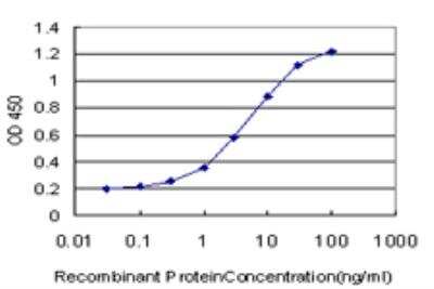 ELISA: SLC19A2 Antibody (5B10) [H00010560-M10]