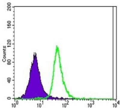Flow Cytometry: SLC22A1 Antibody (2C5) - BSA Free [NBP1-51684]