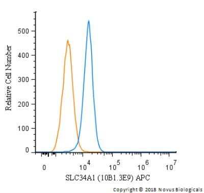 Flow Cytometry: SLC34A1 Antibody (10B1.3E9) - Azide and BSA Free [NBP2-80953]