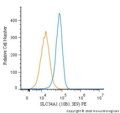 Flow Cytometry: SLC34A1 Antibody (10B1.3E9) - BSA Free [NBP2-42216]