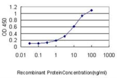 ELISA: SLC44A2 Antibody (3D11) [H00057153-M01]