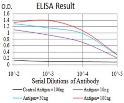 ELISA: SMAD1/9 Antibody (4E12H10) - BSA Free [NBP2-61878]