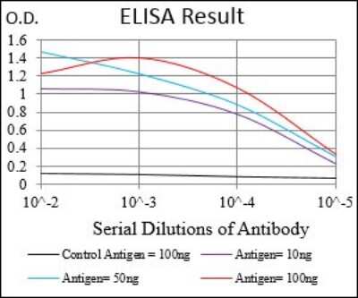 ELISA: SMCP Antibody (5C10A2) - BSA Free [NBP2-37278]