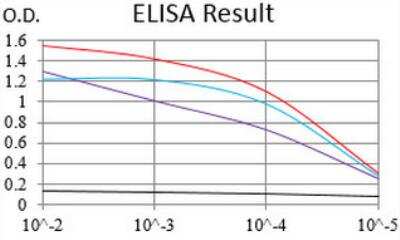 ELISA: SMCP Antibody (5C10D8) - BSA Free [NBP2-37253]