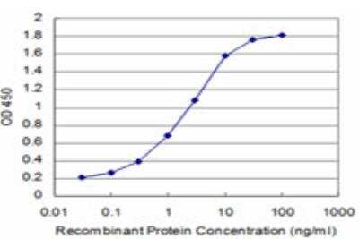 ELISA: SMG1 Antibody (2B10) [H00023049-M04]