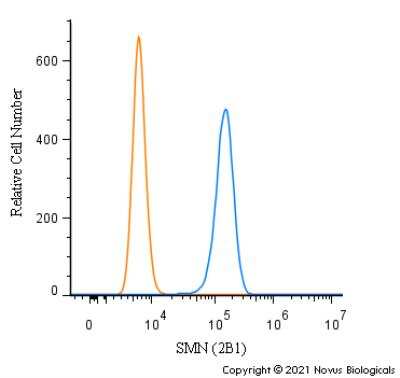 Flow Cytometry: SMN Antibody (2B1) [NB100-1936]