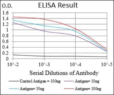 ELISA: SOX10 Antibody (2E7B5) - BSA Free [NBP2-37306]
