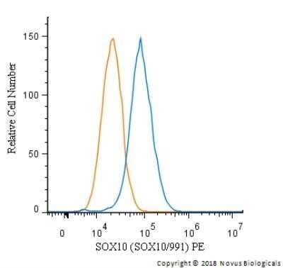 Flow (Intracellular): SOX10 Antibody (SOX10/991) - Azide and BSA Free [NBP2-59621]