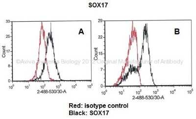Flow Cytometry: SOX17 Antibody [NBP1-80362]