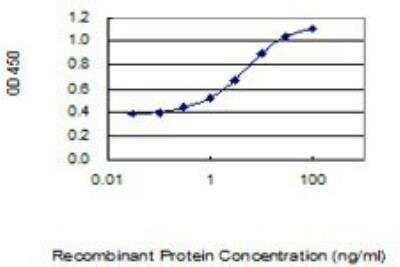 ELISA: SOX9 Antibody (3C10) [H00006662-M02]