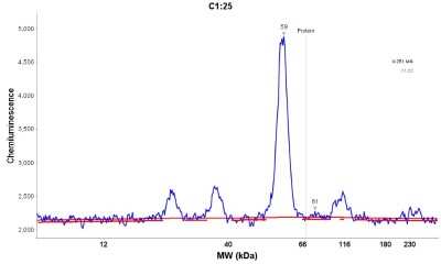Simple Western: SOX9 Antibody [NBP1-85551]