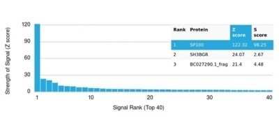 Protein Array: SP100 Antibody (PCRP-SP100-1B9) [NBP3-13780]