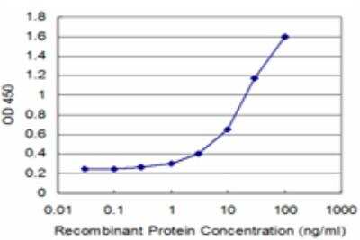 ELISA: SPAG6 Antibody (2F3) [H00009576-M05]