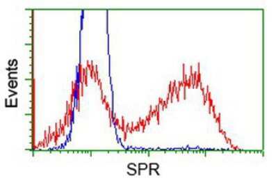 Flow Cytometry: SPR Antibody (OTI4F5) [NBP2-03256]
