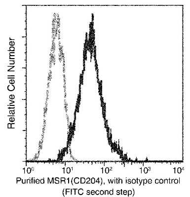 Flow Cytometry: SR-AI/MSR Antibody (004) [NBP2-90437]