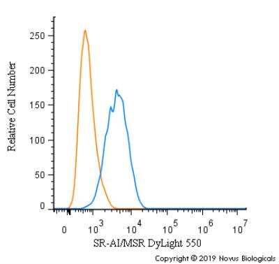 Flow Cytometry: SR-AI/MSR Antibody - BSA Free [NBP1-00092]