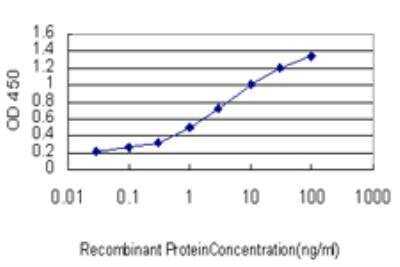ELISA: SRGAP1 Antibody (5D2) [H00057522-M03]