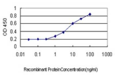 ELISA: SRp55 Antibody (6A10) [H00006431-M01]