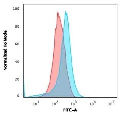 Flow Cytometry: SSEA-1 Antibody (FUT4/1478R) [NBP2-49878]