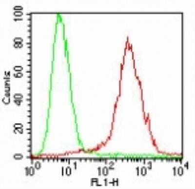 Flow (Cell Surface): SSEA-4 Antibody (MC-813-70) - Azide and BSA Free [NBP2-80963]