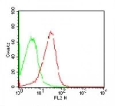 Flow Cytometry: SSEA-4 Antibody (MC-813-70) [NBP2-26644]