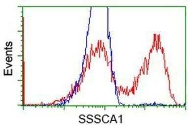 Flow Cytometry: SSSCA1 Antibody (OTI2F5) - Azide and BSA Free [NBP2-74359]