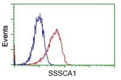 Flow Cytometry: SSSCA1 Antibody (OTI2F5) - Azide and BSA Free [NBP2-74359]