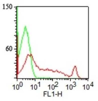 Flow Cytometry: ST6 Gal Sialyltransferase 1/ST6GAL1/CD75 Antibody (LN-1) - Azide and BSA Free [NBP2-47890]