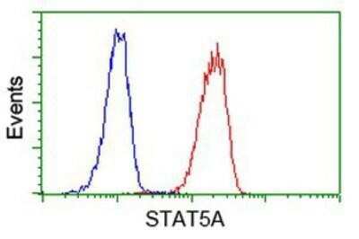 Flow Cytometry: STAT5A Antibody (OTI9F7) [NBP2-00622]