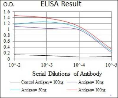 ELISA: STAT5A Antibody (6D4) - BSA Free [NBP2-37441]