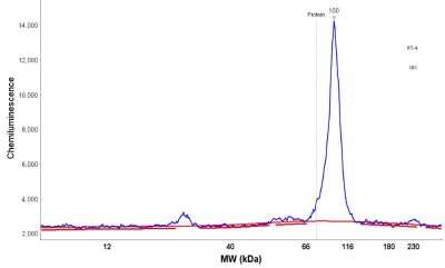Simple Western: STAT6 Antibody [NBP1-85345]