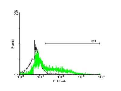 Flow Cytometry: STI1 Antibody (2E11) [H00010963-M35]