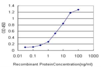 ELISA: STK38 Antibody (2F6) [H00011329-M11]