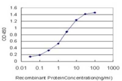ELISA: STK38 Antibody (3A5) [H00011329-M02]