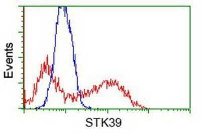 Flow Cytometry: STK39 Antibody (OTI4E3) - Azide and BSA Free [NBP2-74406]