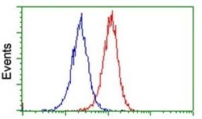 Flow Cytometry: SUHW1 Antibody (OTI2H3) [NBP2-45446]