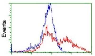 Flow Cytometry: SUHW1 Antibody (OTI2H3) - Azide and BSA Free [NBP2-74409]